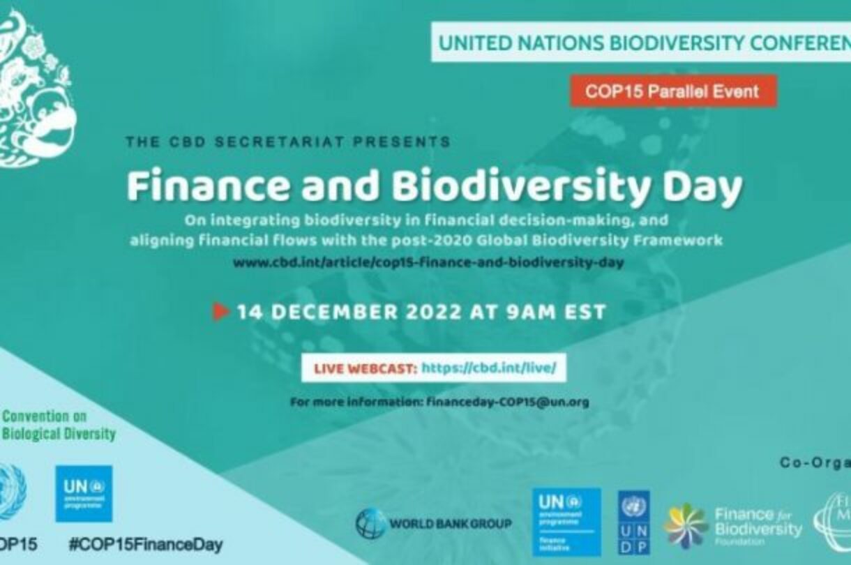 Finance For Biodiversity Foundation Activities At COP15 - Finance For ...