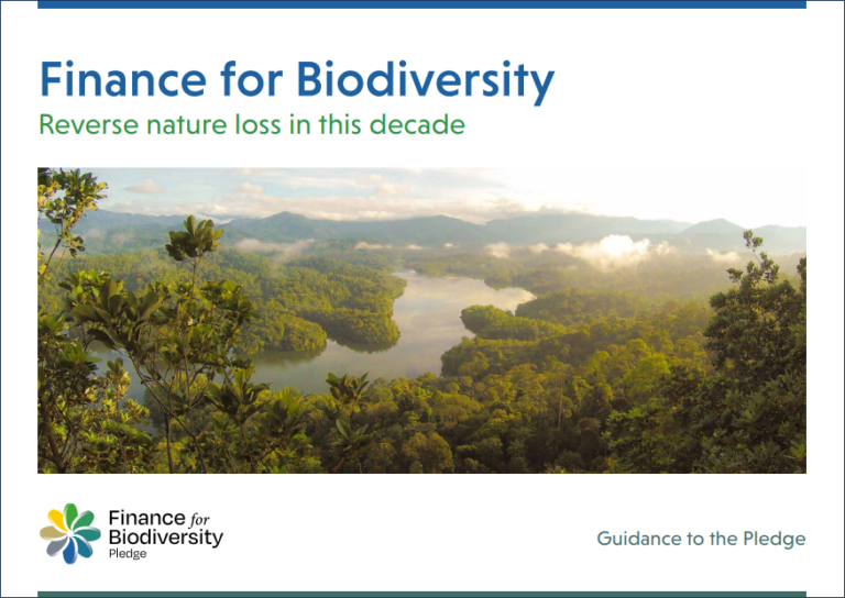 guidance-to-the-pledge-finance-for-biodiversity-foundation