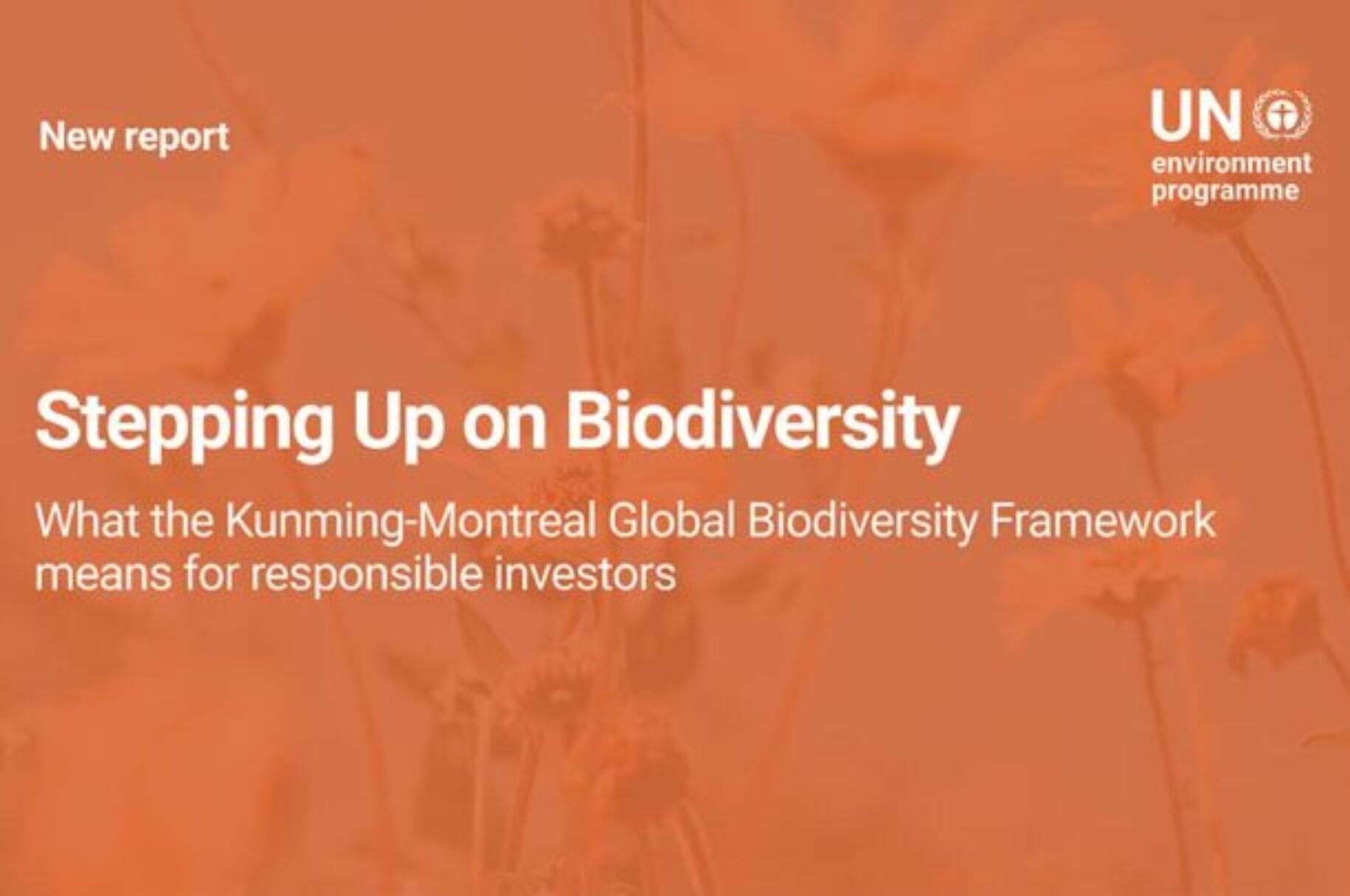 Publications Archive - Finance for Biodiversity Foundation