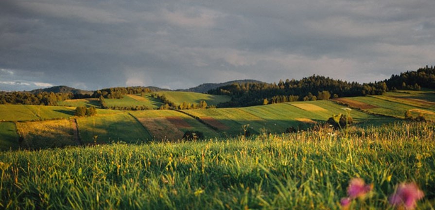 Webinar: Finance and biodiversity regulation - Finance for Biodiversity ...